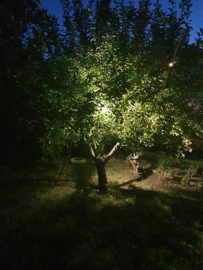 Hotel Casa Cleopatra Două Mai Zewnętrze zdjęcie
